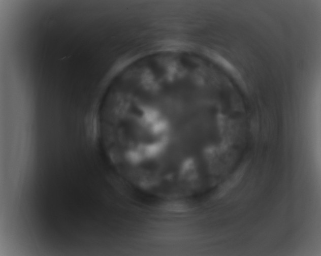 X0000100761267200807031142