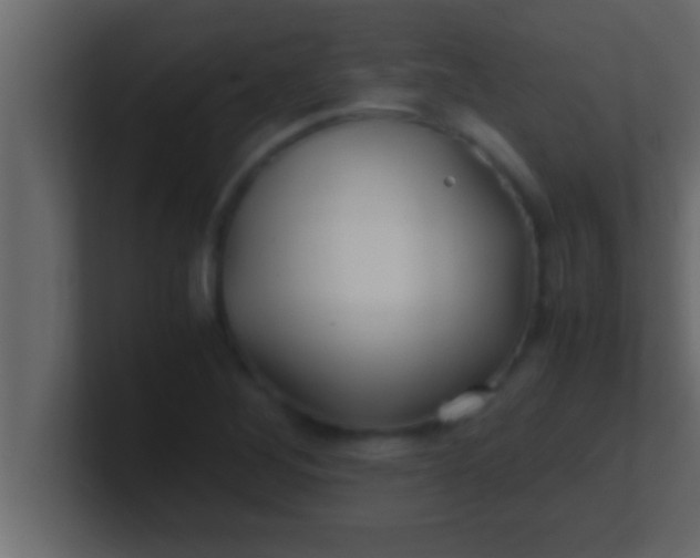 X0000100761268200807031142