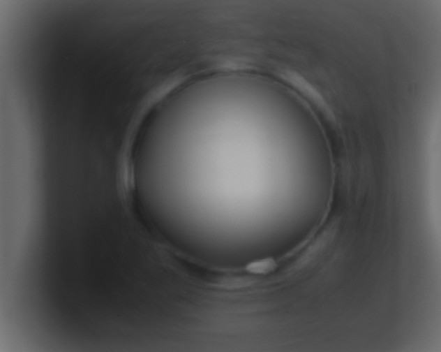 X0000100761269200807031142