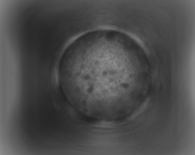 X0000100761271200807031142