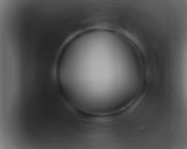 X0000100761272200807031142