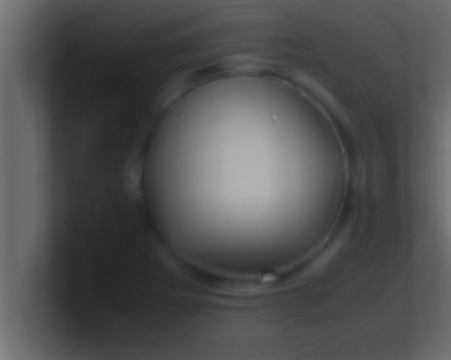 X0000100761273200807031142