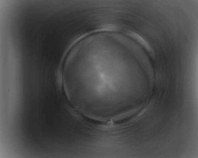 X0000100761276200807031142