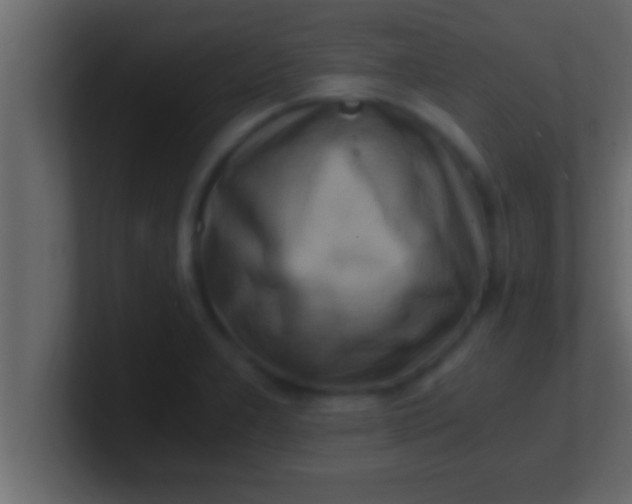 X0000100761277200807031142