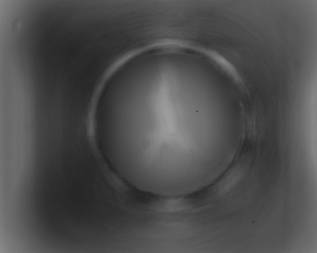 X0000100761279200807031142