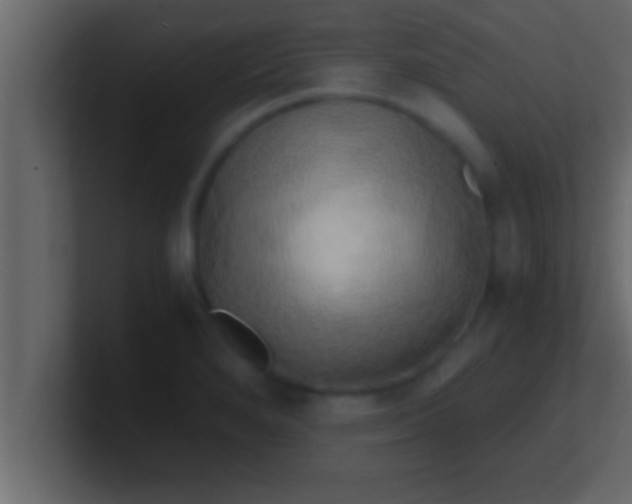 X0000100761280200807031142