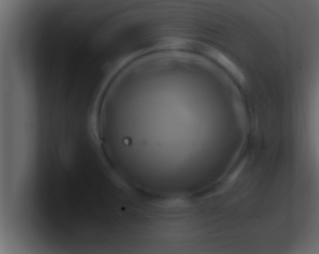 X0000100761283200807031142