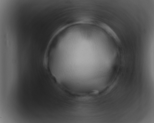 X0000100761284200807031142