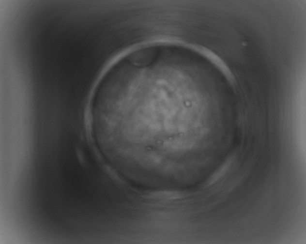 X0000100761287200807031142