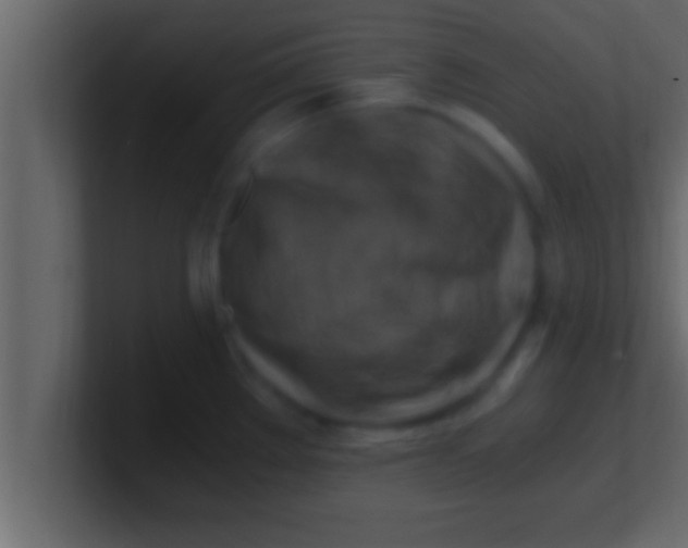 X0000100761289200807031142