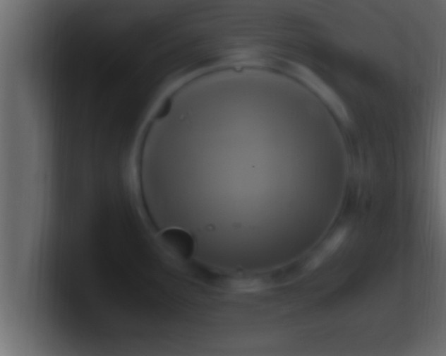 X0000100761291200807031142