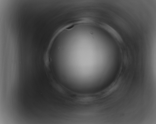 X0000100761292200807031142