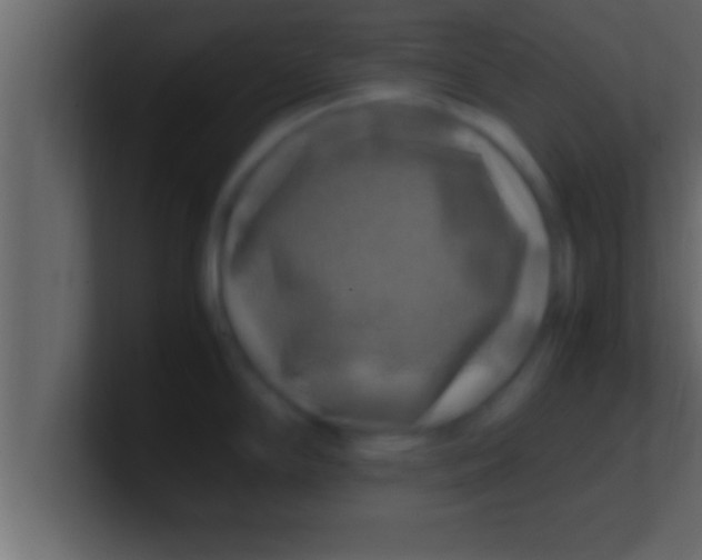 X0000100761294200807031142