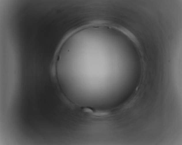 X0000100761296200807031142