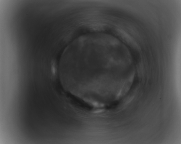 X0000100761298200807031141