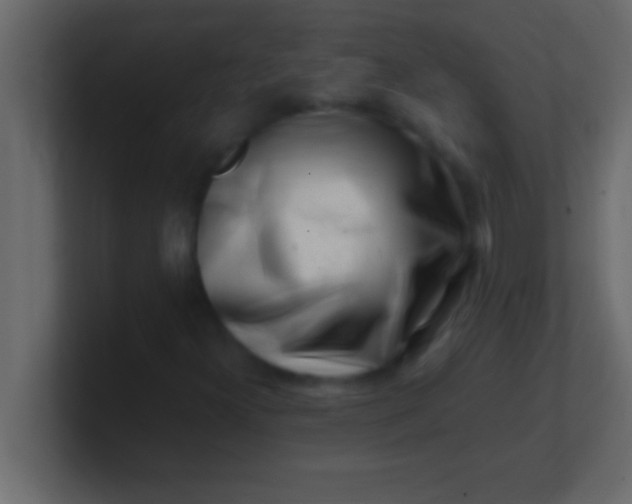 X0000100761300200807031141