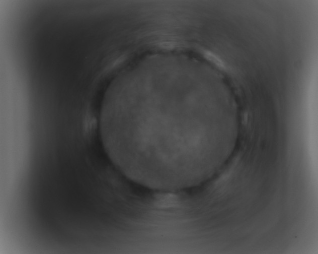 X0000100761302200807031141