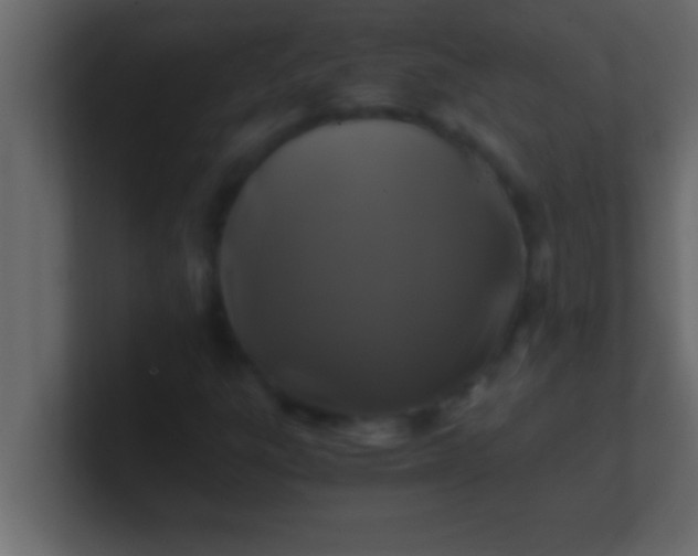 X0000100761303200807031141