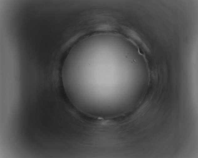 X0000100761304200807031141