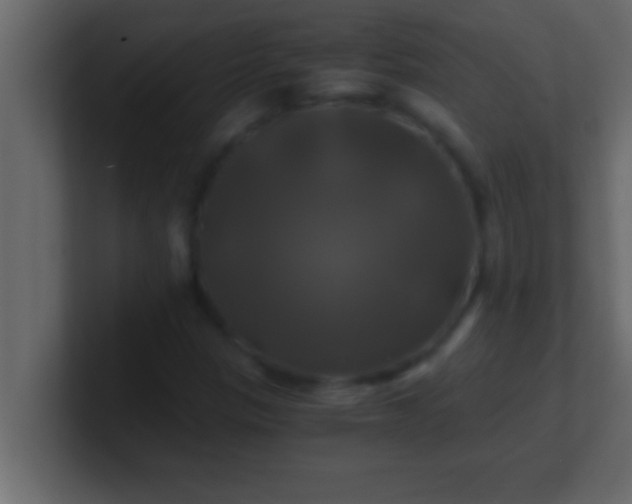 X0000100761305200807031141