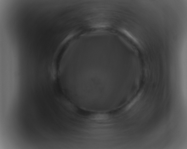 X0000100761306200807031141