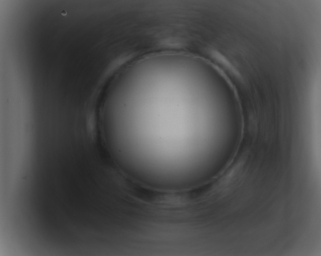 X0000100761307200807031141