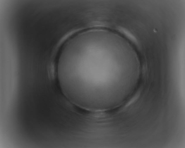 X0000100761310200807031141