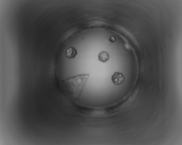 X0000100761313200807031141