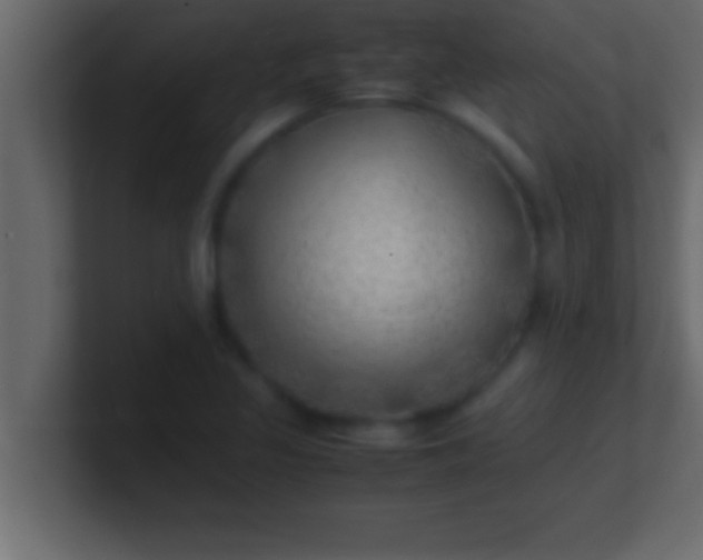 X0000100761317200807031142