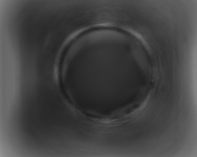 X0000100761319200807031142