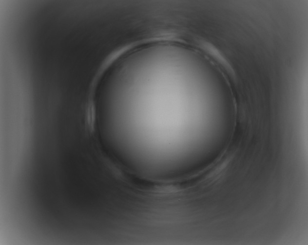 X0000100761320200807031142