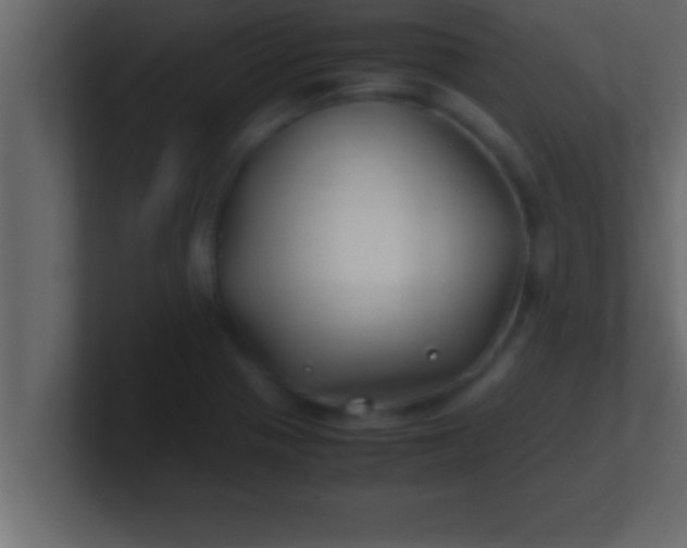 X0000100761321200807031142