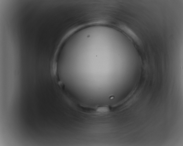 X0000100761324200807031142