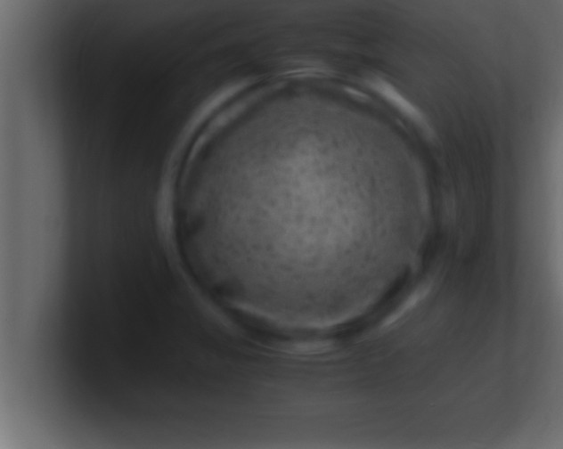 X0000100761325200807031142