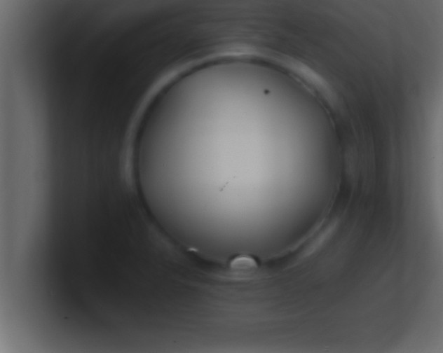 X0000100761326200807031142