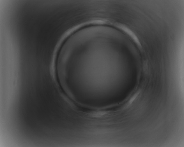 X0000100761327200807031142