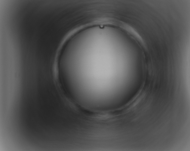 X0000100761328200807031142