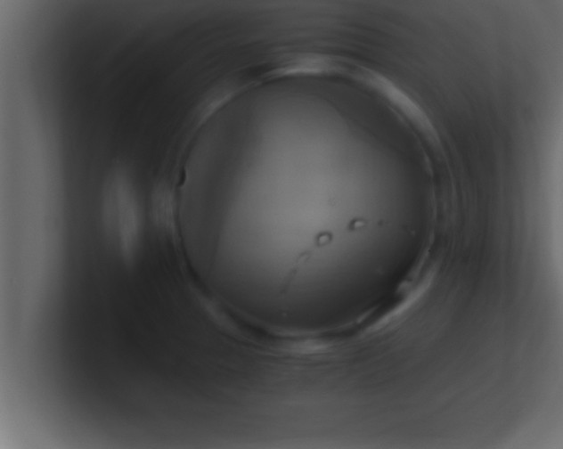 X0000100761329200807031142