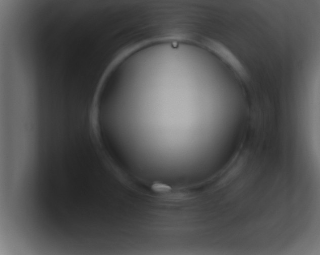 X0000100761332200807031142