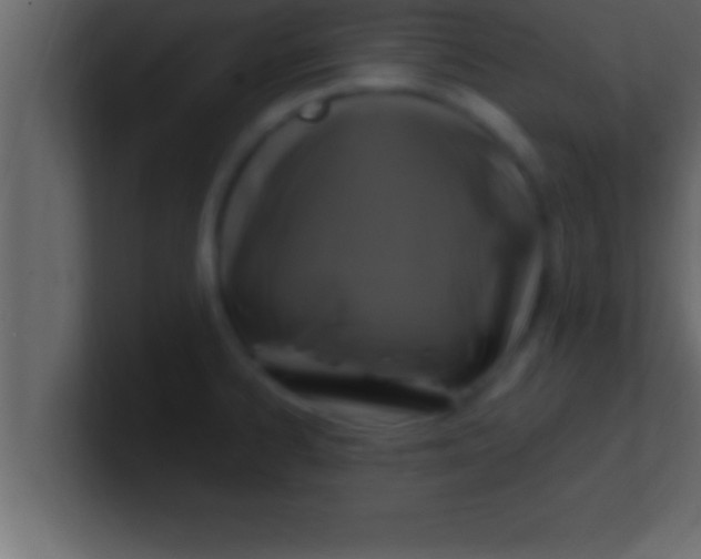 X0000100761334200807031142