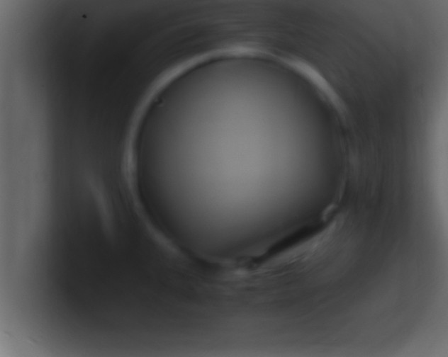 X0000100761335200807031142