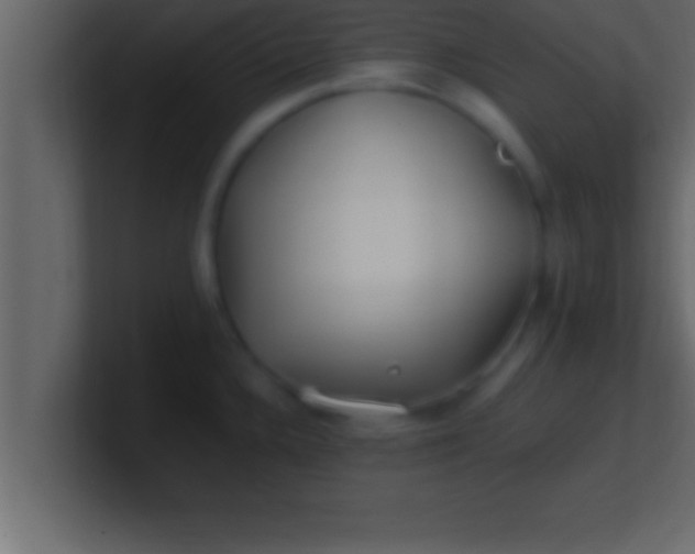 X0000100761336200807031142