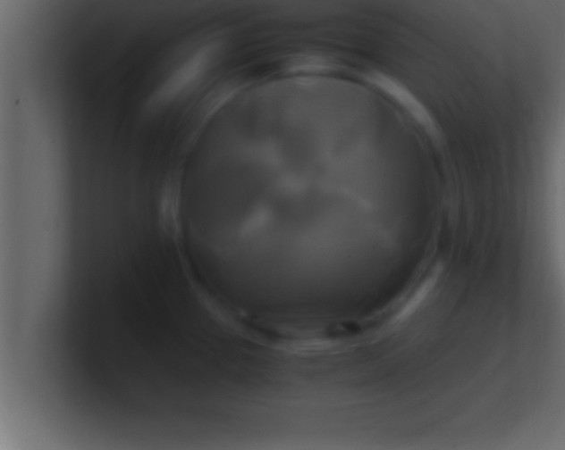 X0000100761337200807031142