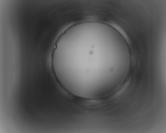 X0000100761341200807031142