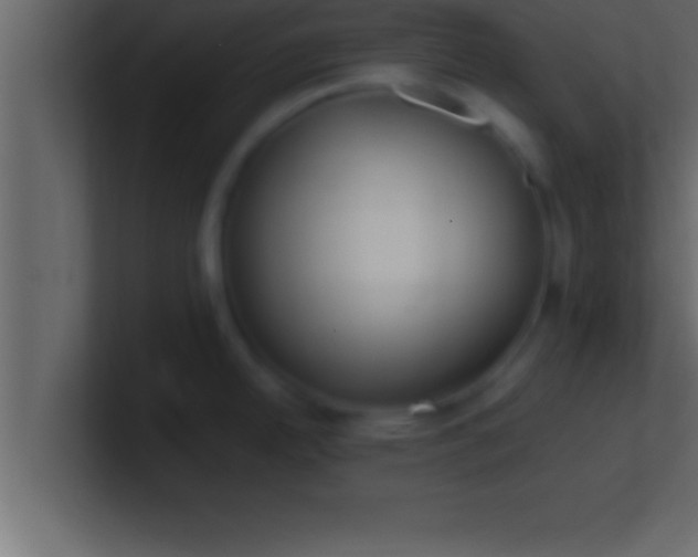 X0000100761342200807031142