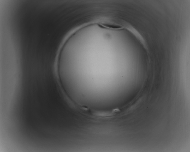 X0000100761344200807031142