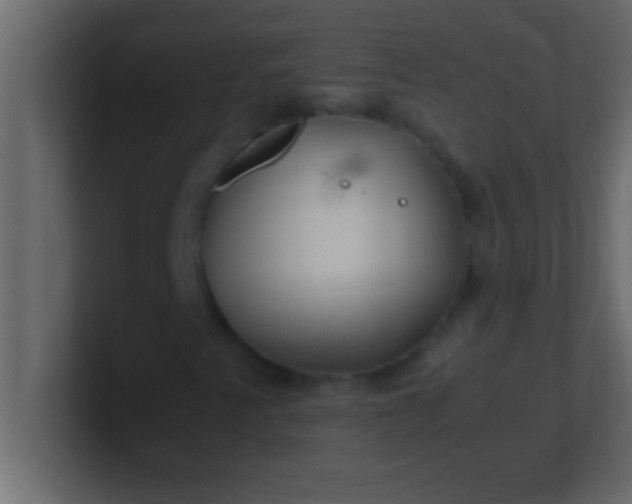 X0000100761345200807031141