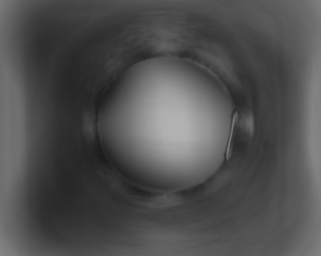 X0000100761348200807031141