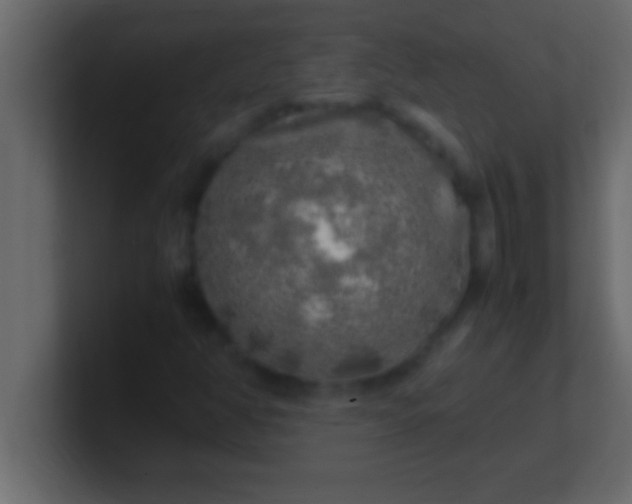 X0000100761350200807031141