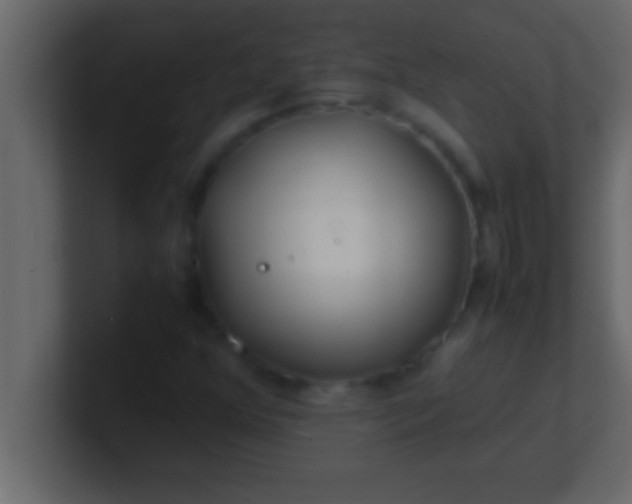 X0000100761352200807031141